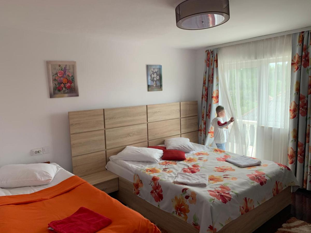 Vila Club Dioda Cicanesti Ngoại thất bức ảnh